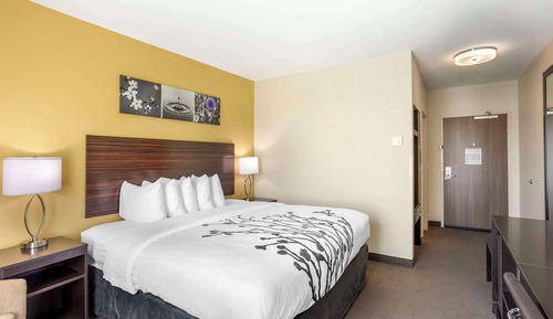 Standard Room, 1 King Bed, Non Smoking