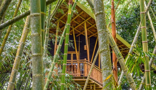 Deluxe Tree House