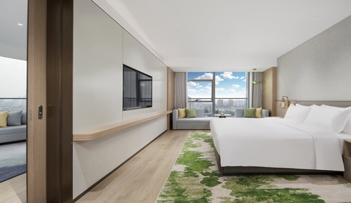 Suite, 1 King Bed (Living Area)