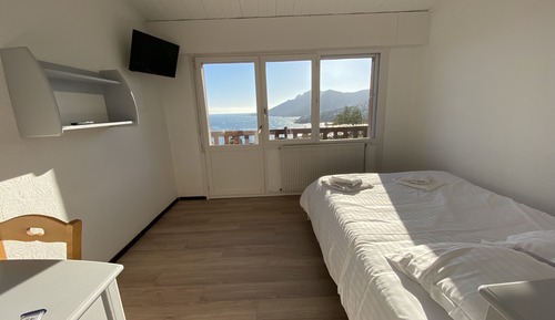 Basic Double Room