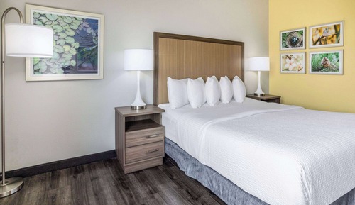 Room, 1 King Bed, Accessible, Smoking (Bathtub w/ Grab Bars)