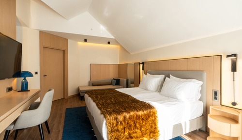Luxury Suite