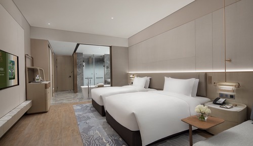 Deluxe Mountain View Twin Room