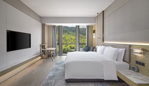 Deluxe Mountain View King Room