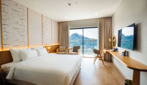 Deluxe Double or Twin Room