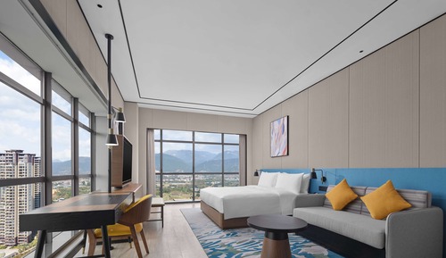 Room, 1 King Bed with Sofa bed