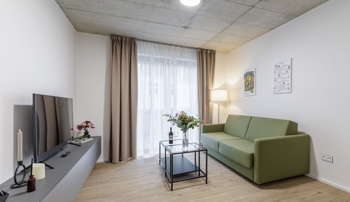Deluxe Apartment