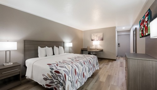 Deluxe Room, 1 King Bed, Smoking