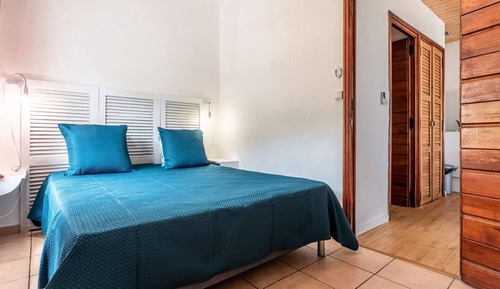 Basic Apartment