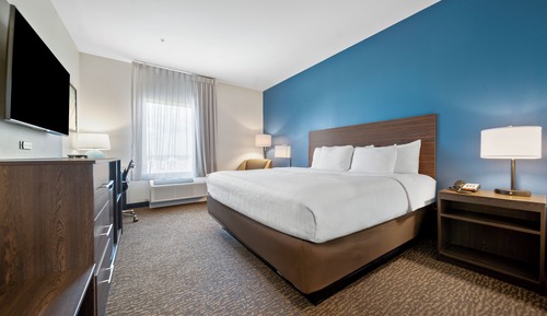 Room, 1 King Bed, Non Smoking