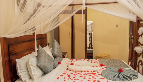 Luxury Single Room