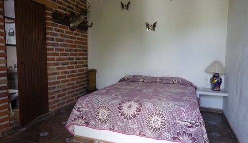 Basic Single Room