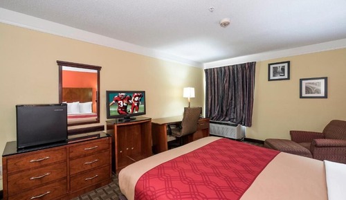 Basic Single Room
