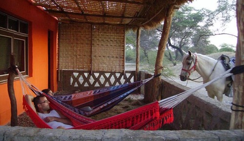 Basic Cabin, Multiple Beds, Smoking, Garden View