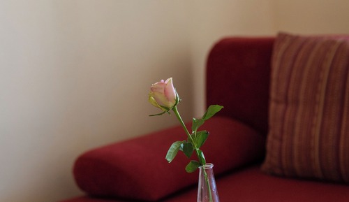 Economy Suite
