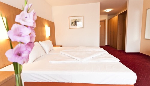 Comfort Double or Twin Room, Balcony, Partial Lake View
