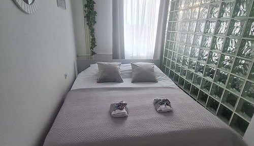 Apartment (One Bedroom Apartment)