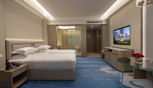 Room, 1 Twin Bed
