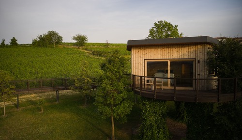 Superior Suite, 1 Queen Bed (House in the vineyards)