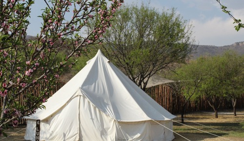 Classic Tent, Patio, Mountain View