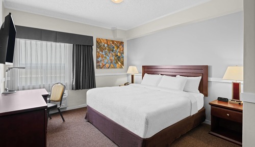 Room, 1 King Bed, Non Smoking