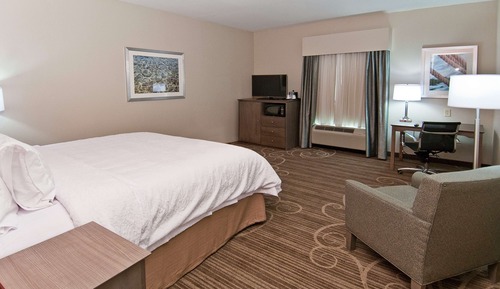 Room, 1 King Bed, Refrigerator & Microwave