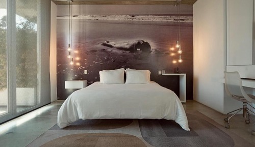 Premium Suite