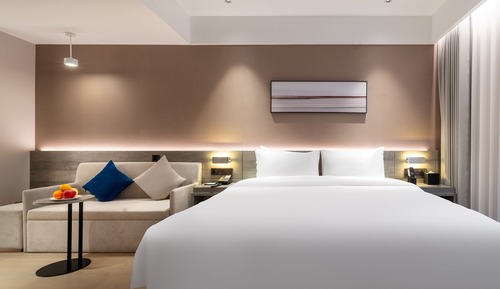 Room, 1 King Bed with Sofa bed