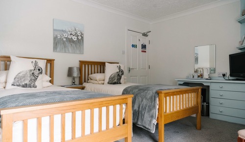 Standard Twin Room, Ensuite, Garden View (and shower)