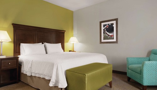 Room, 1 King Bed, Accessible, Non Smoking (Hearing, Peloton Bike)
