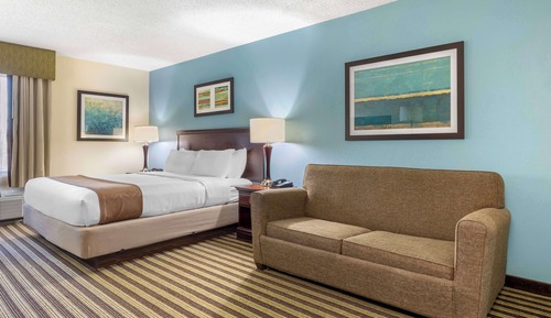 Standard Room, 1 King Bed, Non Smoking, Refrigerator & Microwave (with Sofabed)