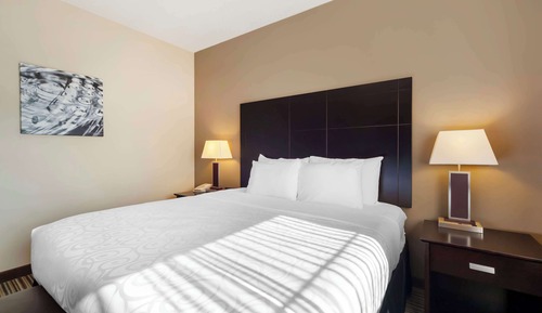 Suite, 1 King Bed, Non Smoking, Refrigerator & Microwave (Larger Room)