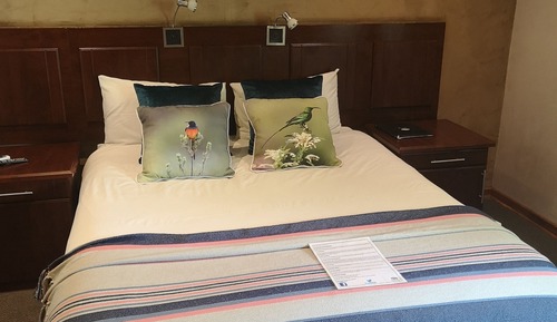Luxury Bird Room