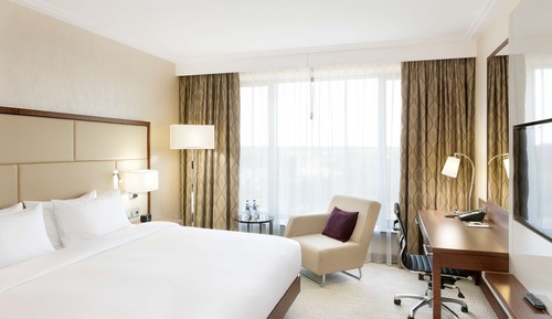 Room, 1 King Bed