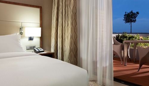 Room, 1 King Bed, Terrace