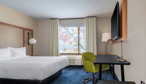 Room, 1 King Bed