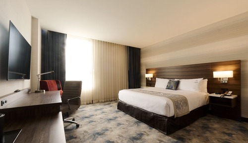 Standard Accessible King Room