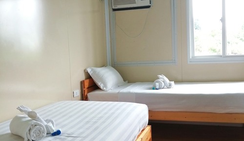 Basic Twin Room