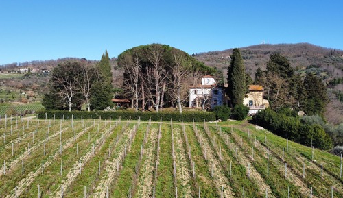 I Cipressi