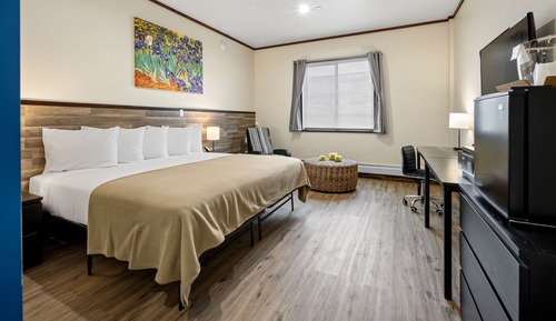 Studio Suite