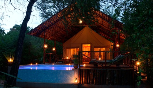 Deluxe Tent