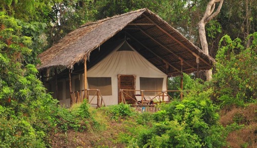 Standard Tent