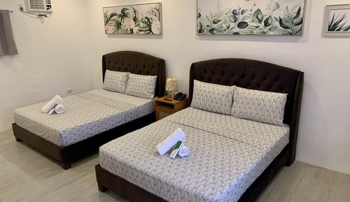 Junior Single Room