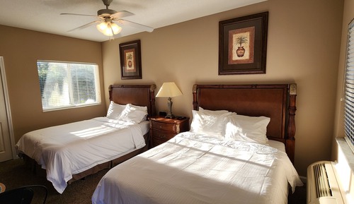 Basic Studio Suite