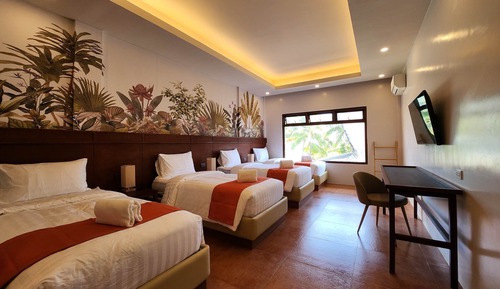 Deluxe Double or Twin Room
