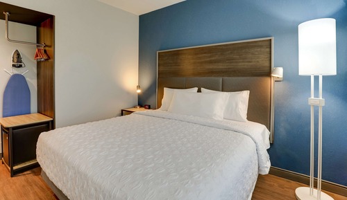 Room, 1 King Bed