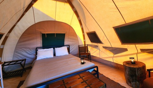 Economy Tent