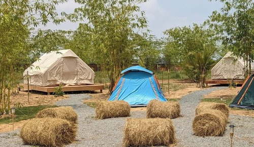 Basic Tent