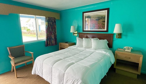 Standard Single Room, 1 Queen Bed, Non Smoking