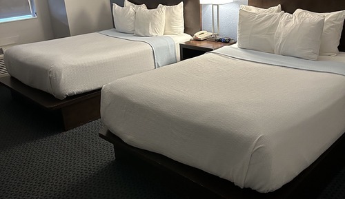 Economy Double Room